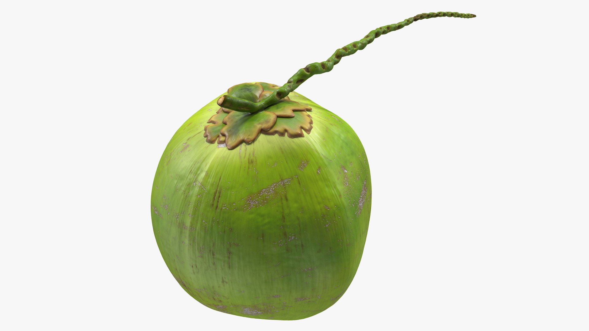 3D Exotic Fruits Collection 5 https://p.turbosquid.com/ts-thumb/U6/mcMf3Z/09/exoticfruitscollection5mb3dmodel039/jpg/1672506704/1920x1080/fit_q87/864fc956bb2fad0b15c4279e4d8d664349a38299/exoticfruitscollection5mb3dmodel039.jpg