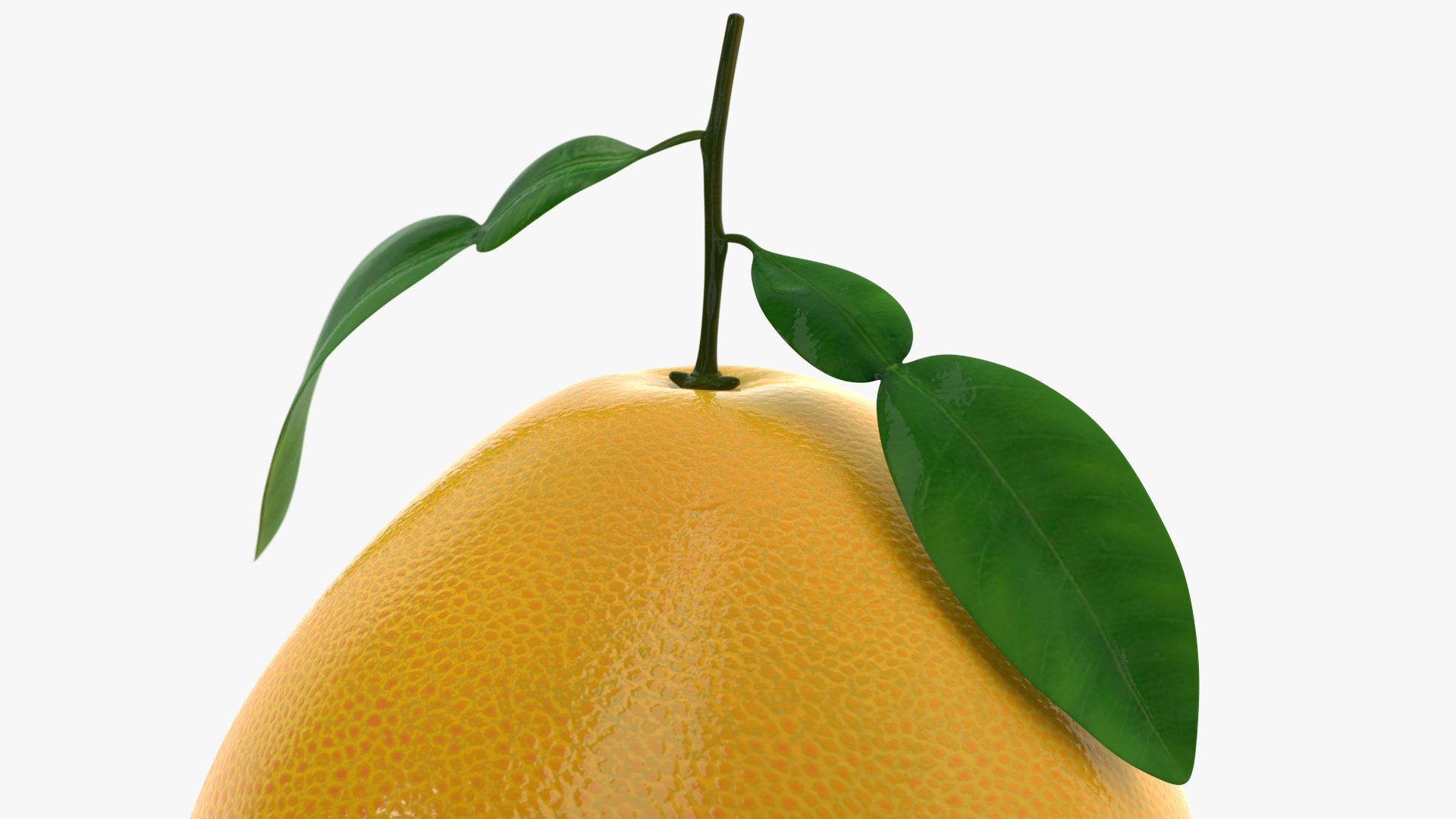 3D Exotic Fruits Collection 5 https://p.turbosquid.com/ts-thumb/U6/mcMf3Z/0P/exoticfruitscollection5mb3dmodel013/jpg/1672506625/1920x1080/fit_q87/aef2e92bd1d2c949f39bb9af69b8b6ca983fac50/exoticfruitscollection5mb3dmodel013.jpg