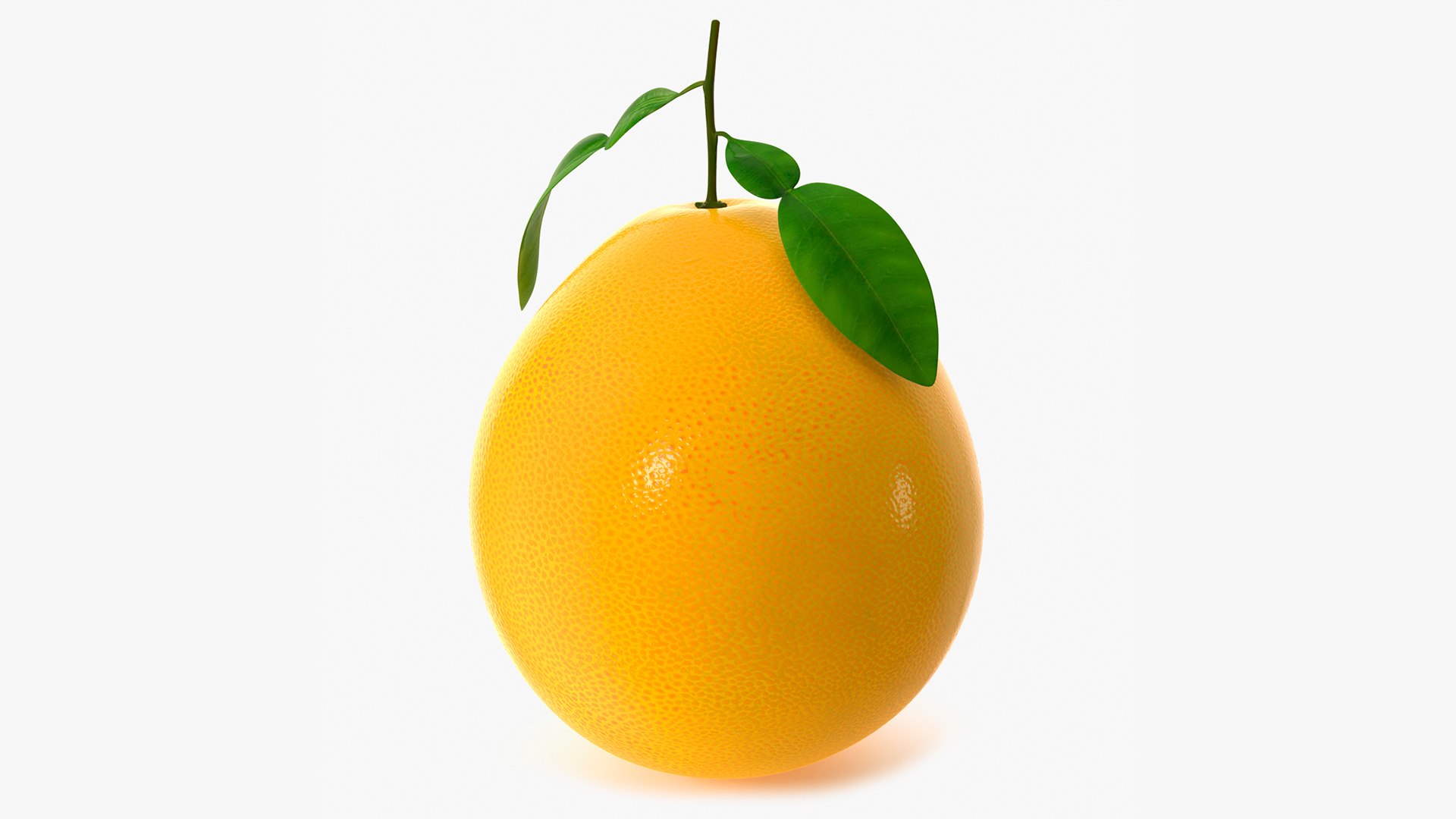 3D Exotic Fruits Collection 5 https://p.turbosquid.com/ts-thumb/U6/mcMf3Z/7Z/exoticfruitscollection5mb3dmodel008/jpg/1672506609/1920x1080/fit_q87/0f2cea9e25e77a4a3615b41d244b469b9487141c/exoticfruitscollection5mb3dmodel008.jpg