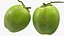 Collection de fruits exotiques 5