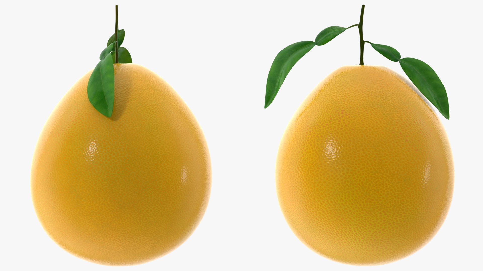 3D Exotic Fruits Collection 5 https://p.turbosquid.com/ts-thumb/U6/mcMf3Z/E6/exoticfruitscollection5mb3dmodel009/jpg/1672506612/1920x1080/fit_q87/a92055a90f07ead7326db9eb4017bc63974e1a75/exoticfruitscollection5mb3dmodel009.jpg
