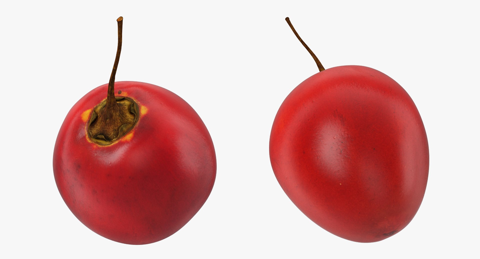 3D Exotic Fruits Collection 5 https://p.turbosquid.com/ts-thumb/U6/mcMf3Z/Ek/exoticfruitscollection5mb3dmodel053/jpg/1672506746/1920x1080/fit_q87/748a3fd481281f74bd0b30fae4e4e972678139c7/exoticfruitscollection5mb3dmodel053.jpg