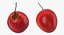 Collection de fruits exotiques 5