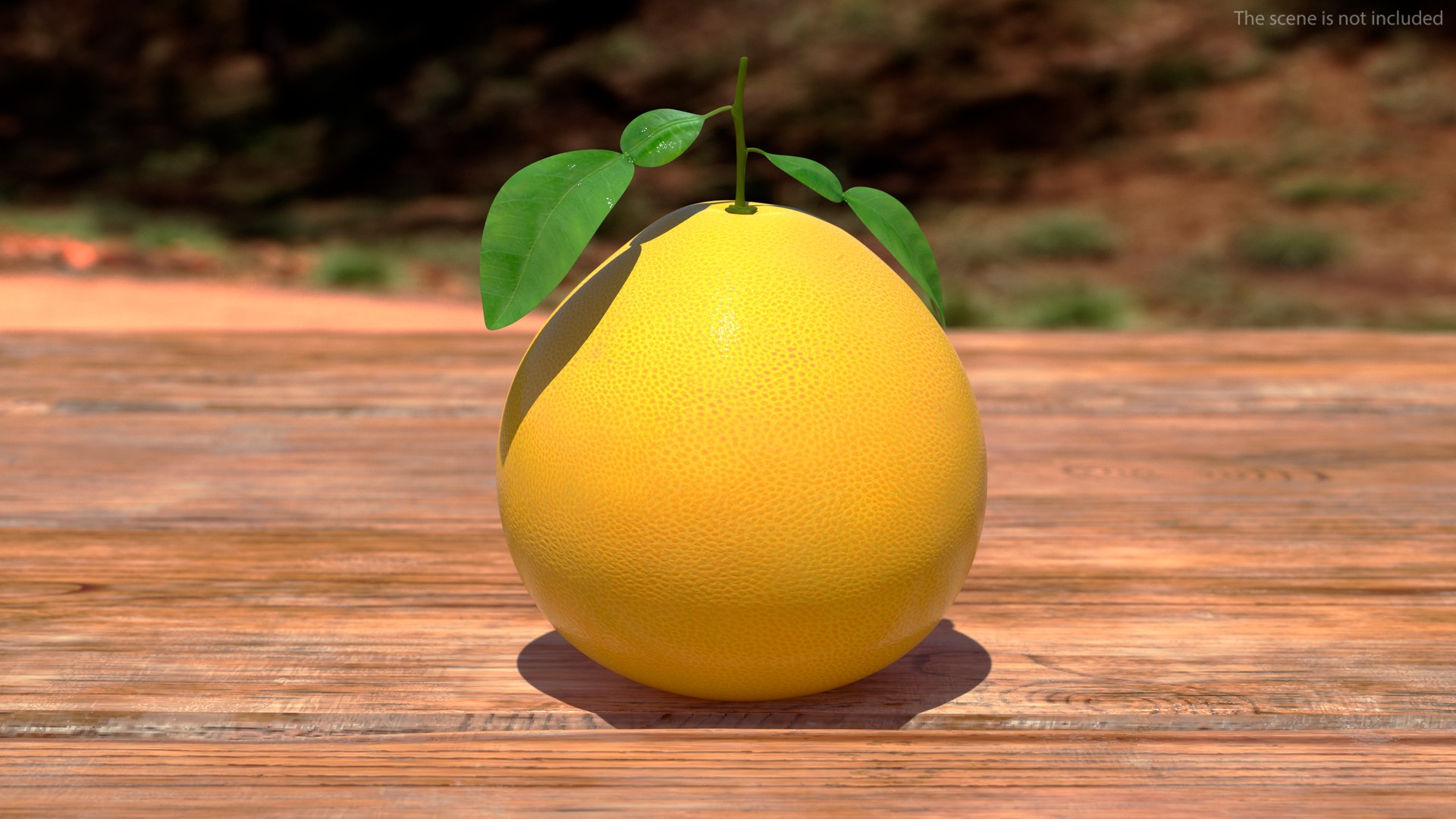 3D Exotic Fruits Collection 5 https://p.turbosquid.com/ts-thumb/U6/mcMf3Z/IJ/exoticfruitscollection5mb3dmodel003/jpg/1672506590/1920x1080/fit_q87/4ff69cb4b62a3aee955fd0176d7e73ce0e6562ae/exoticfruitscollection5mb3dmodel003.jpg