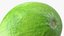 Collection de fruits exotiques 5
