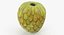 Collection de fruits exotiques 5
