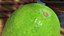 Collection de fruits exotiques 5