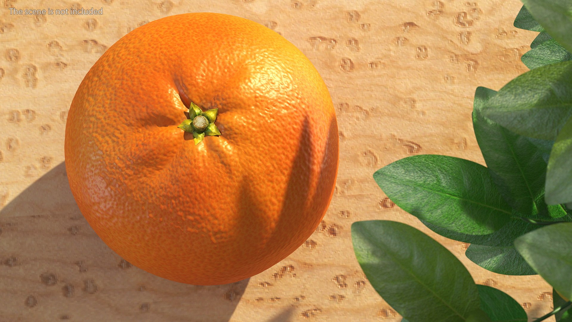 3D Exotic Fruits Collection 5 https://p.turbosquid.com/ts-thumb/U6/mcMf3Z/W2/exoticfruitscollection5mb3dmodel018/jpg/1672506641/1920x1080/fit_q87/327a25dbe6a868ca16b3b3c6c106825d6c0fd8a4/exoticfruitscollection5mb3dmodel018.jpg