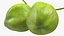 Collection de fruits exotiques 5
