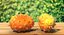 Collection de fruits exotiques 5