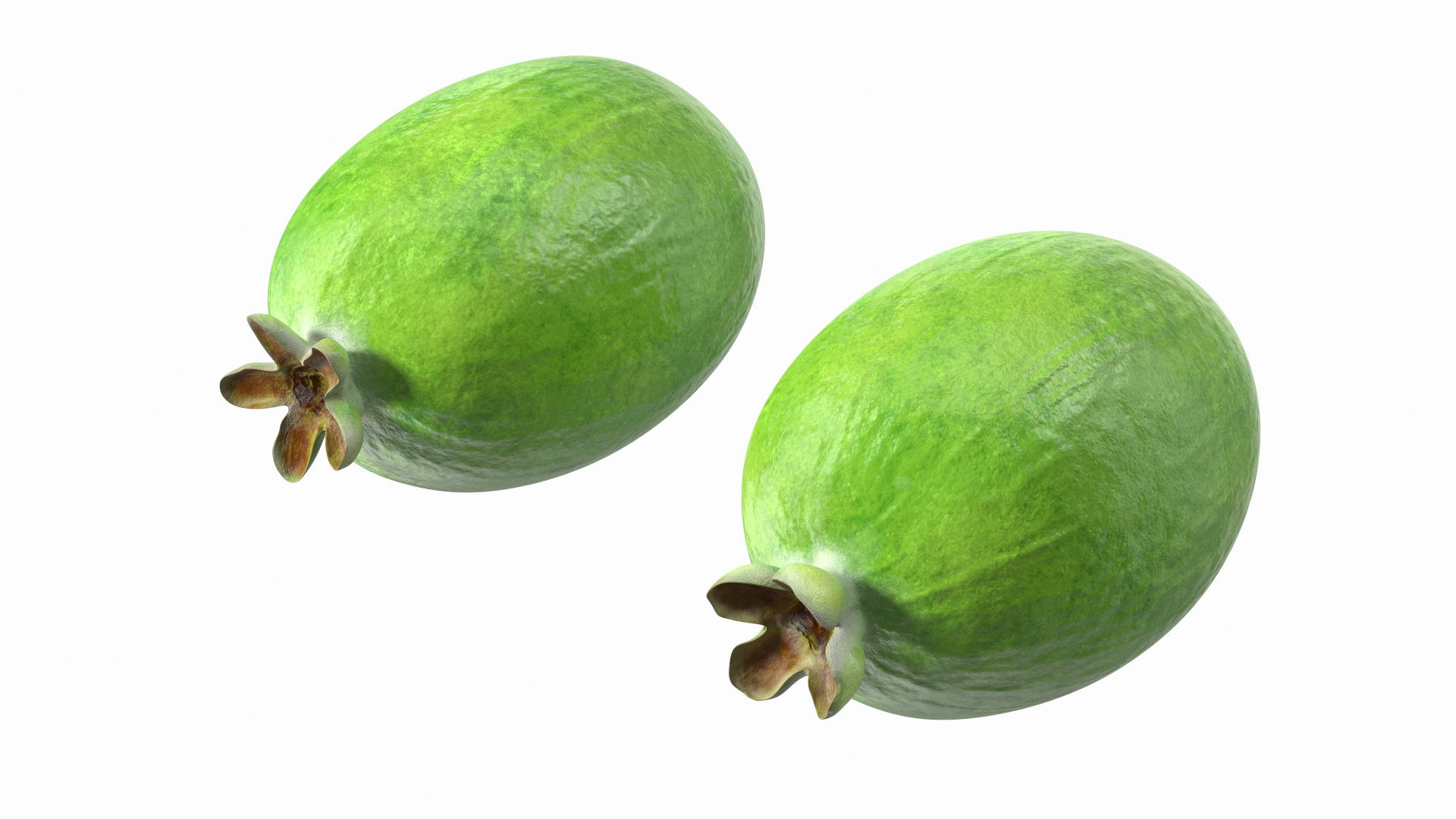 3D Exotic Fruits Collection 5 https://p.turbosquid.com/ts-thumb/U6/mcMf3Z/ZC/feijoa_fruit_360/jpg/1672506113/1920x1080/turn_fit_q99/f4a420a0410975869393922ad5b40d360f6f66c4/feijoa_fruit_360-1.jpg