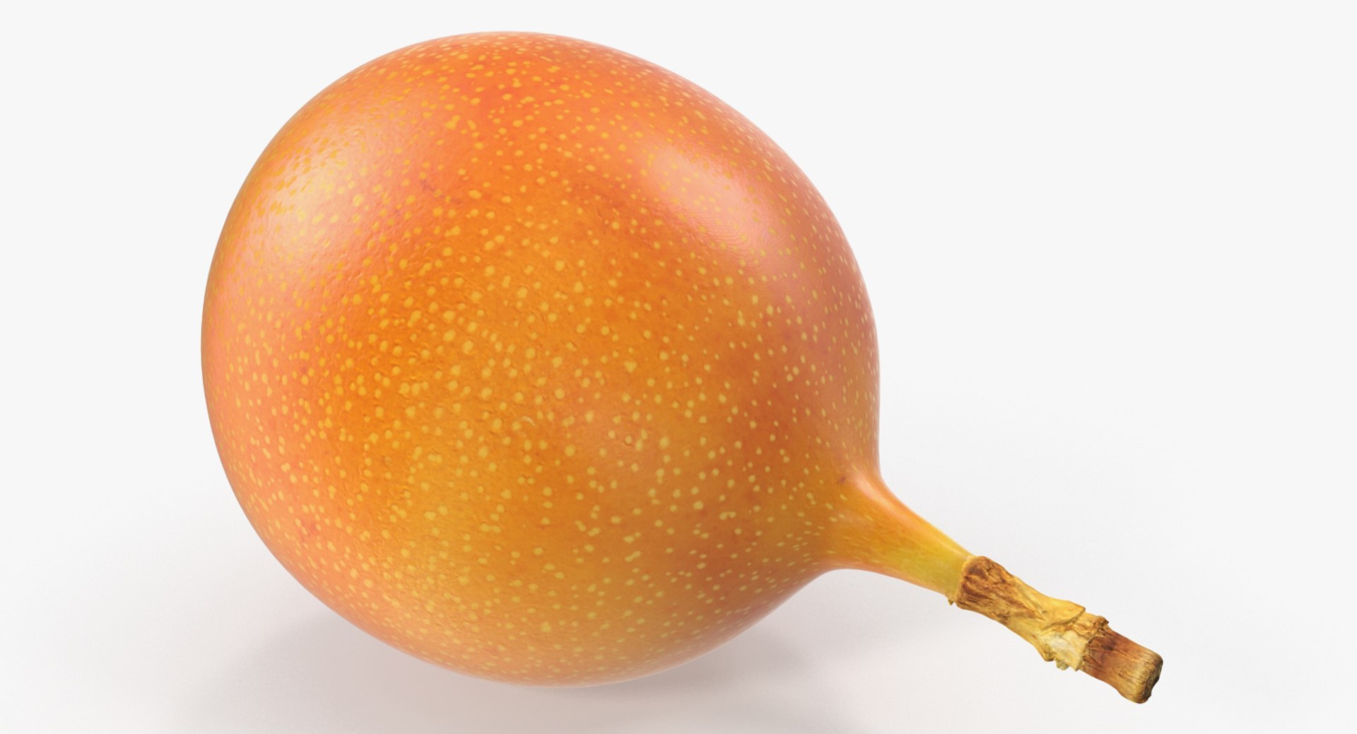 3D Exotic Fruits Collection 5 https://p.turbosquid.com/ts-thumb/U6/mcMf3Z/jm/exoticfruitscollection5mb3dmodel060/jpg/1672506767/1920x1080/fit_q87/4d4e8bd4828f0adb2c469b8bf592b9f8711fead2/exoticfruitscollection5mb3dmodel060.jpg