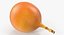 Collection de fruits exotiques 5