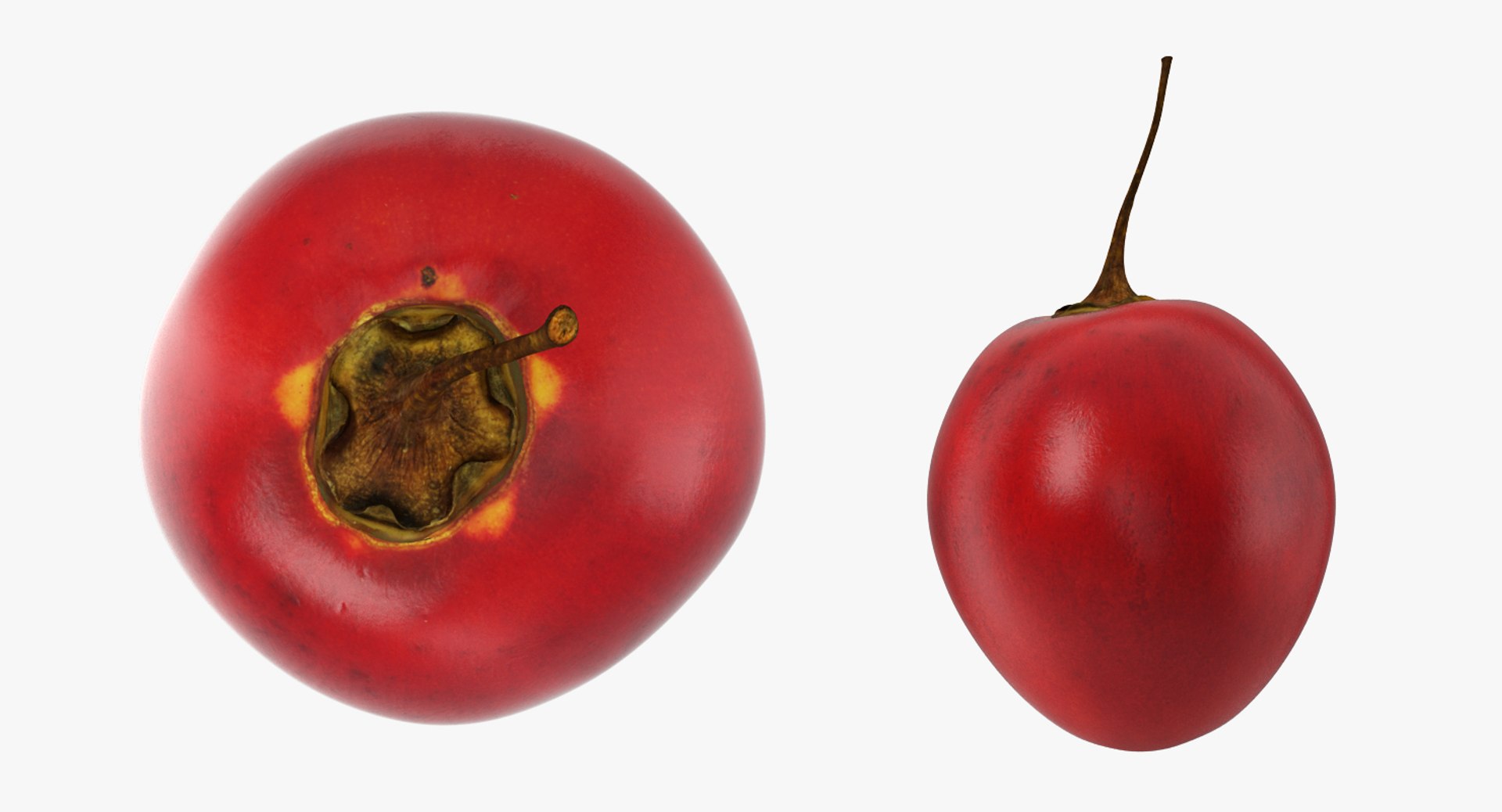 3D Exotic Fruits Collection 5 https://p.turbosquid.com/ts-thumb/U6/mcMf3Z/lX/exoticfruitscollection5mb3dmodel054/jpg/1672506749/1920x1080/fit_q87/3f8413af6ab1d9206cd8605b21c13caeed89ce78/exoticfruitscollection5mb3dmodel054.jpg