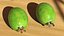 Collection de fruits exotiques 5