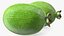 Collection de fruits exotiques 5