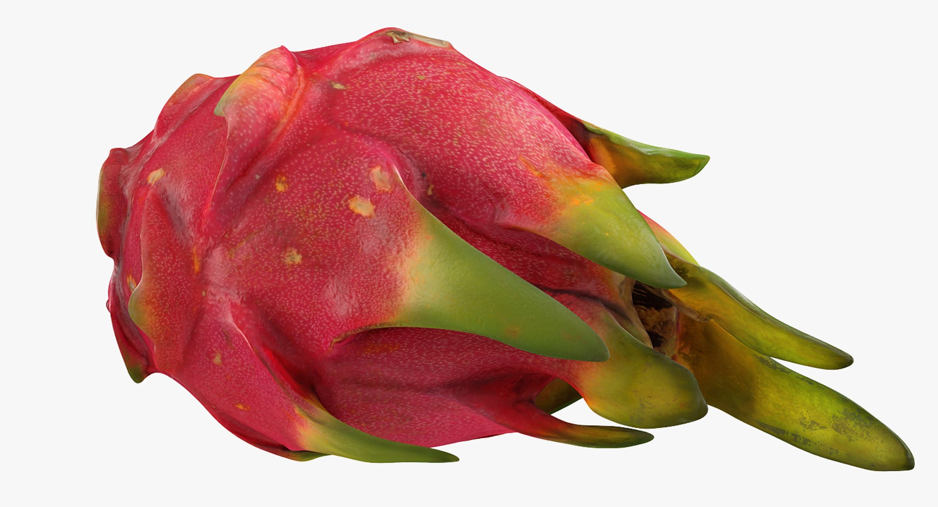 3D Exotic Fruits Collection 5 https://p.turbosquid.com/ts-thumb/U6/mcMf3Z/qi/exoticfruitscollection5mb3dmodel071/jpg/1672506800/1920x1080/fit_q87/283ba7f311e7290473d0a792d988efb5a4dec514/exoticfruitscollection5mb3dmodel071.jpg
