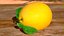 Collection de fruits exotiques 5