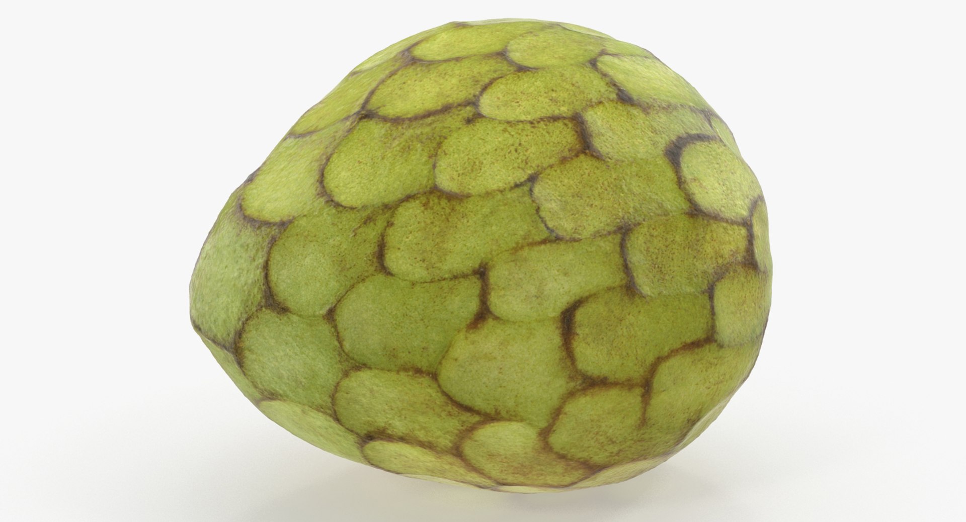 3D Exotic Fruits Collection 5 https://p.turbosquid.com/ts-thumb/U6/mcMf3Z/x4/exoticfruitscollection5mb3dmodel044/jpg/1672506719/1920x1080/fit_q87/e0937d152cd6fe079a726a5ddee5a73eccab1d27/exoticfruitscollection5mb3dmodel044.jpg