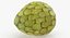 Collection de fruits exotiques 5