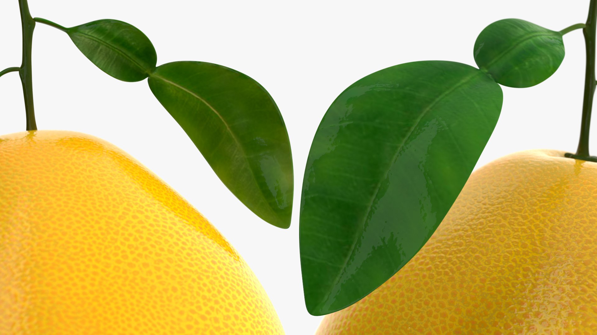 3D Exotic Fruits Collection 5 https://p.turbosquid.com/ts-thumb/U6/mcMf3Z/xI/exoticfruitscollection5mb3dmodel014/jpg/1672506628/1920x1080/fit_q87/4c8f3664adf1e4d3f066a1ca969ebf92d8cf2ac7/exoticfruitscollection5mb3dmodel014.jpg