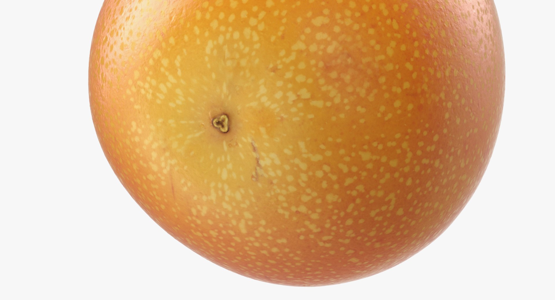 3D Exotic Fruits Collection 5 https://p.turbosquid.com/ts-thumb/U6/mcMf3Z/xQ/exoticfruitscollection5mb3dmodel062/jpg/1672506773/1920x1080/fit_q87/d0baa0ec1aed6ff079e31eaa1c73d264477b5f50/exoticfruitscollection5mb3dmodel062.jpg