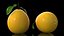 Collection de fruits exotiques 5