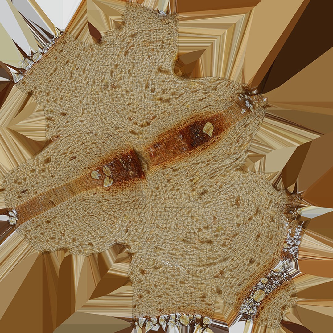 A Slice Of Oatmeal Bread 3D model https://p.turbosquid.com/ts-thumb/U6/mfHjgl/qs/sliceoatmbread_c0004/png/1761825932/1920x1080/fit_q87/9f47e05355f8f833a411a0148f6daf8eea964243/sliceoatmbread_c0004.jpg