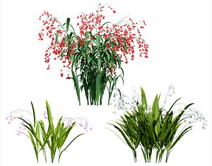 British Lily of the Valley Collection 3D model