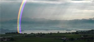 max rainbow element vibgyor