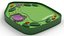 Eukaryotic Plant Cell 3D