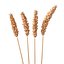 Set - Wheat