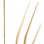 Set - Wheat
