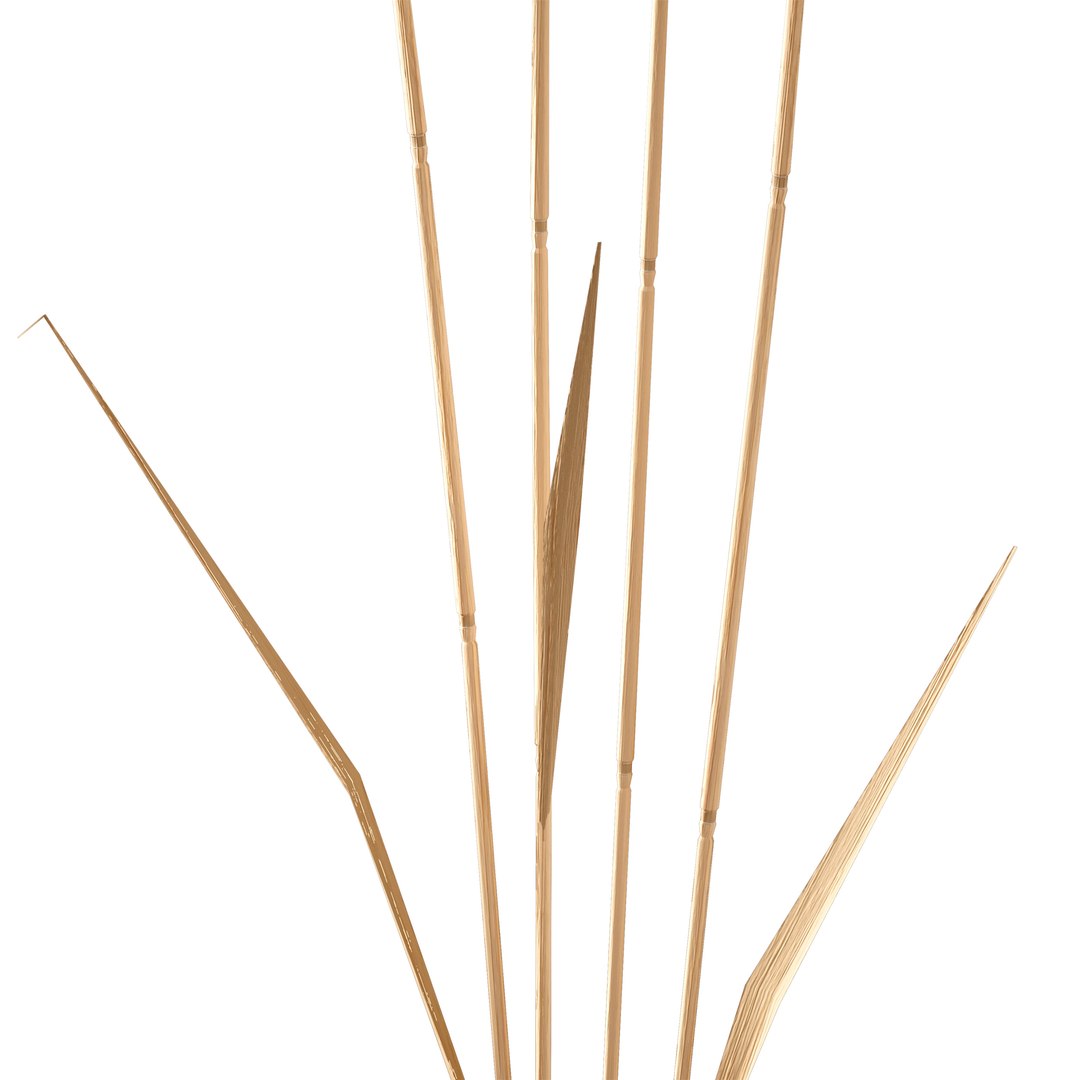 3D Set - Wheat https://p.turbosquid.com/ts-thumb/U7/96pVkA/Ea/c0006/jpg/1666093806/1920x1080/fit_q87/a79dac10213a1e610a735d34698ac88fcd0e336b/c0006.jpg