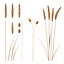 Set - Wheat