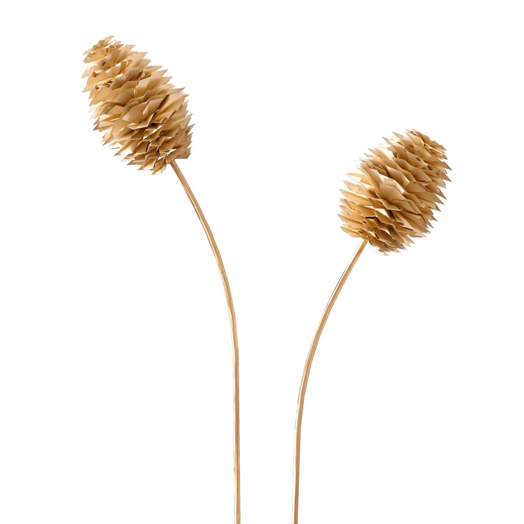 3D Set - Wheat https://p.turbosquid.com/ts-thumb/U7/96pVkA/zz/c0004/jpg/1666093805/1920x1080/fit_q87/1c99ab4074b7d99934f413bc11e043e4e1ba600a/c0004.jpg