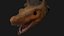 Lizard