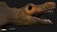 Lizard