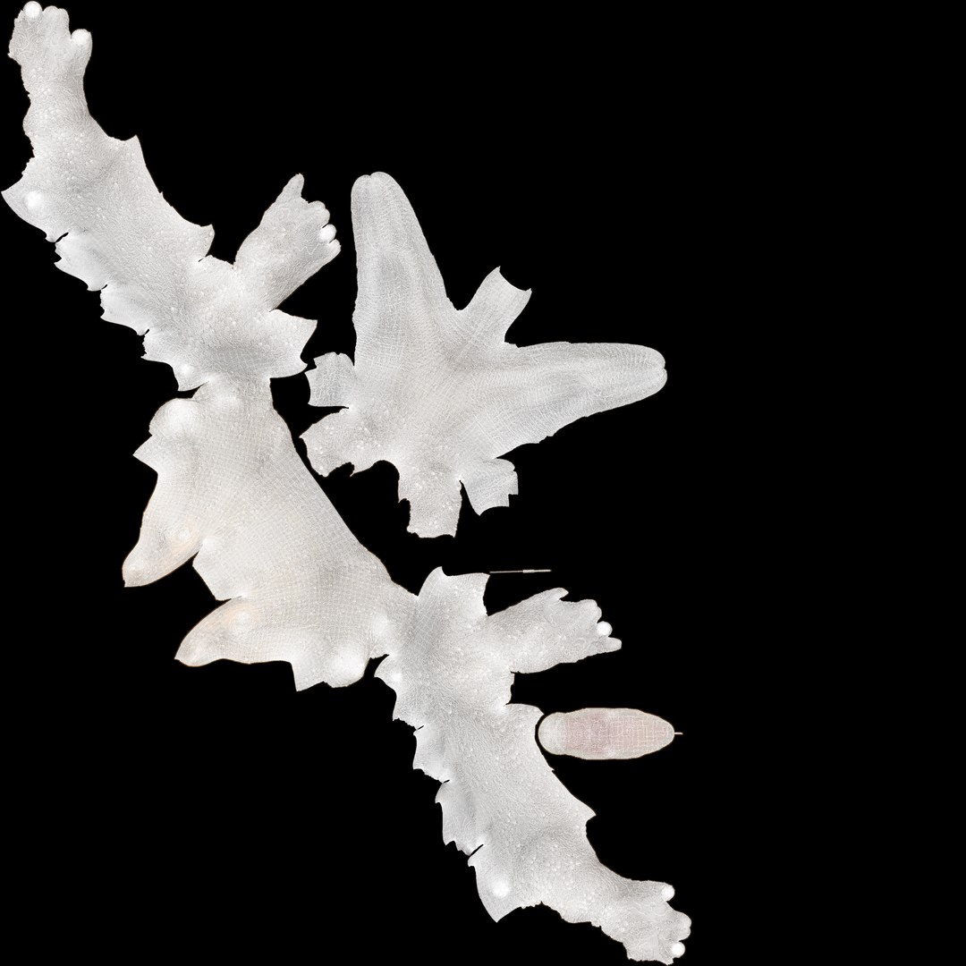 3D model lizard dragon reptile https://p.turbosquid.com/ts-thumb/U7/Dvc1Xi/ajYPca3J/uv/png/1593359851/1920x1080/fit_q87/8d76bbba8fcbfc3afa588df7730470d90f0da12d/uv.jpg