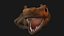 Lizard