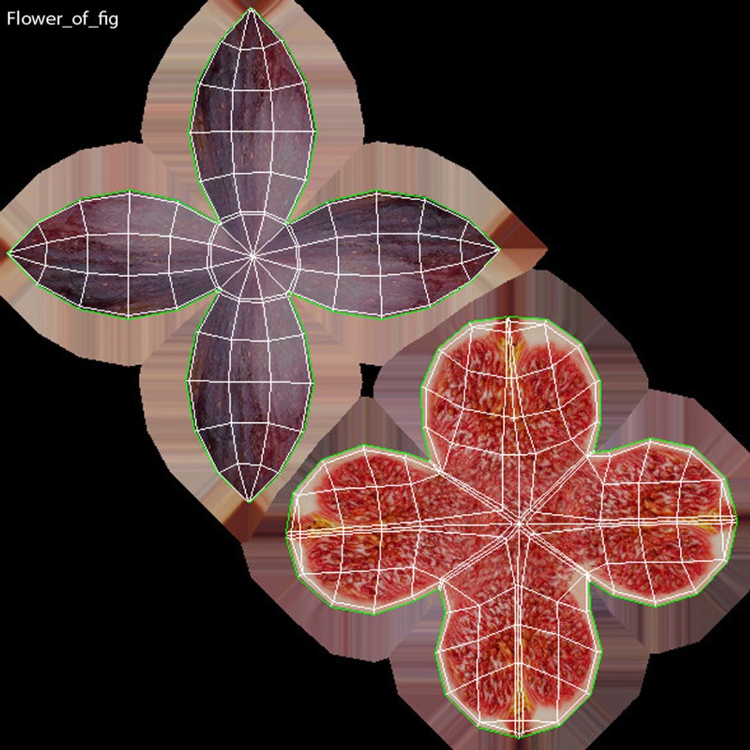 3D Fruit berry cake collection 4 https://p.turbosquid.com/ts-thumb/U7/Gvzehs/Hb/85/jpg/1662655157/1920x1080/fit_q87/c3fb258d5bb81df707b6c38aad0a99a0ba809e8b/85.jpg