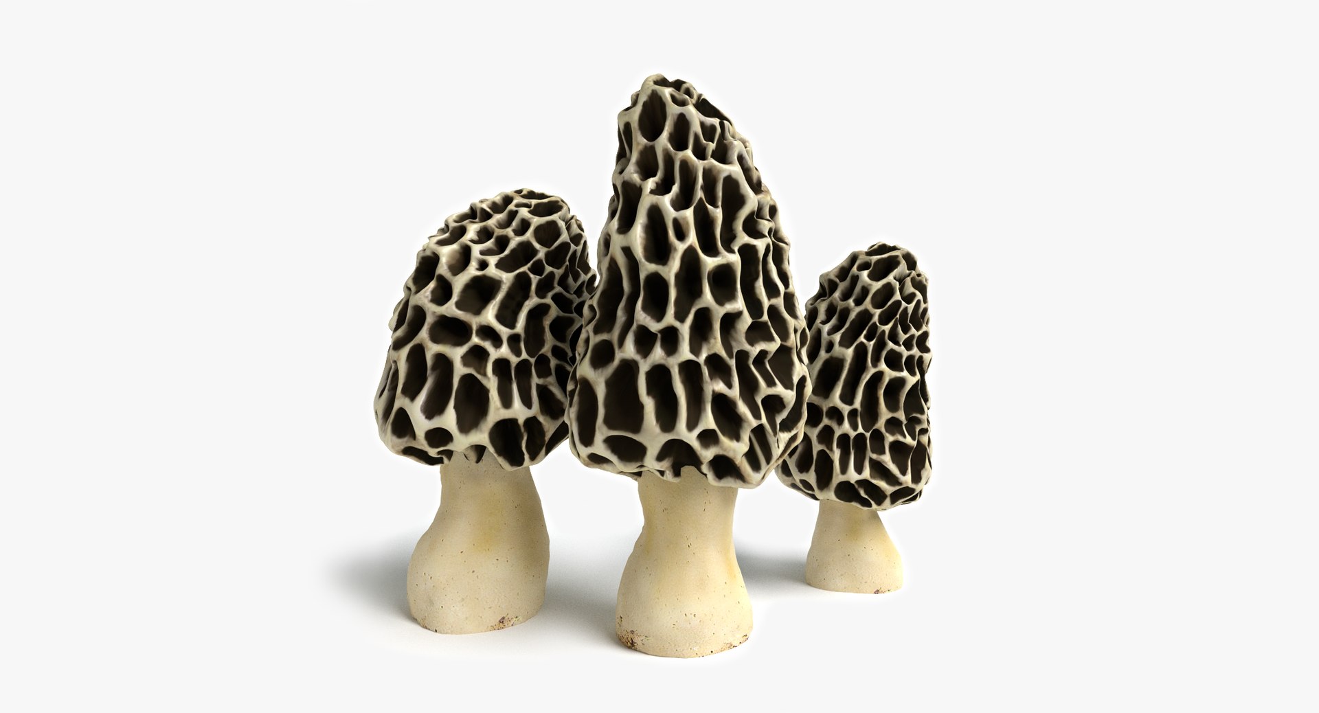 set mushrooms 3d model https://p.turbosquid.com/ts-thumb/U7/WeWFbR/3K11pYY5/thumbnail_1/png/1432666171/1920x1080/fit_q87/f9bfa495740fce871b8e4c5f8f0e58019aba1d72/thumbnail_1.jpg
