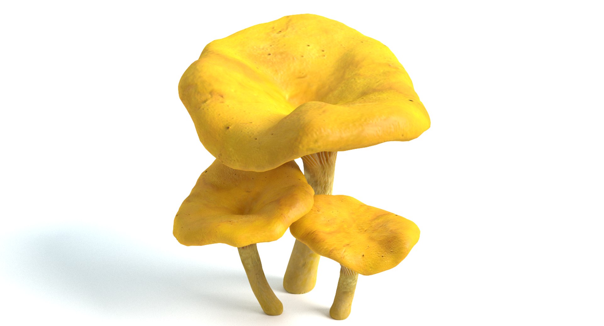 set mushrooms 3d model https://p.turbosquid.com/ts-thumb/U7/WeWFbR/7fV94Gj1/thumbnail_3/png/1432666185/1920x1080/fit_q87/6defadddaea146c1dd6b41e2b88eb5f9a9543ae1/thumbnail_3.jpg