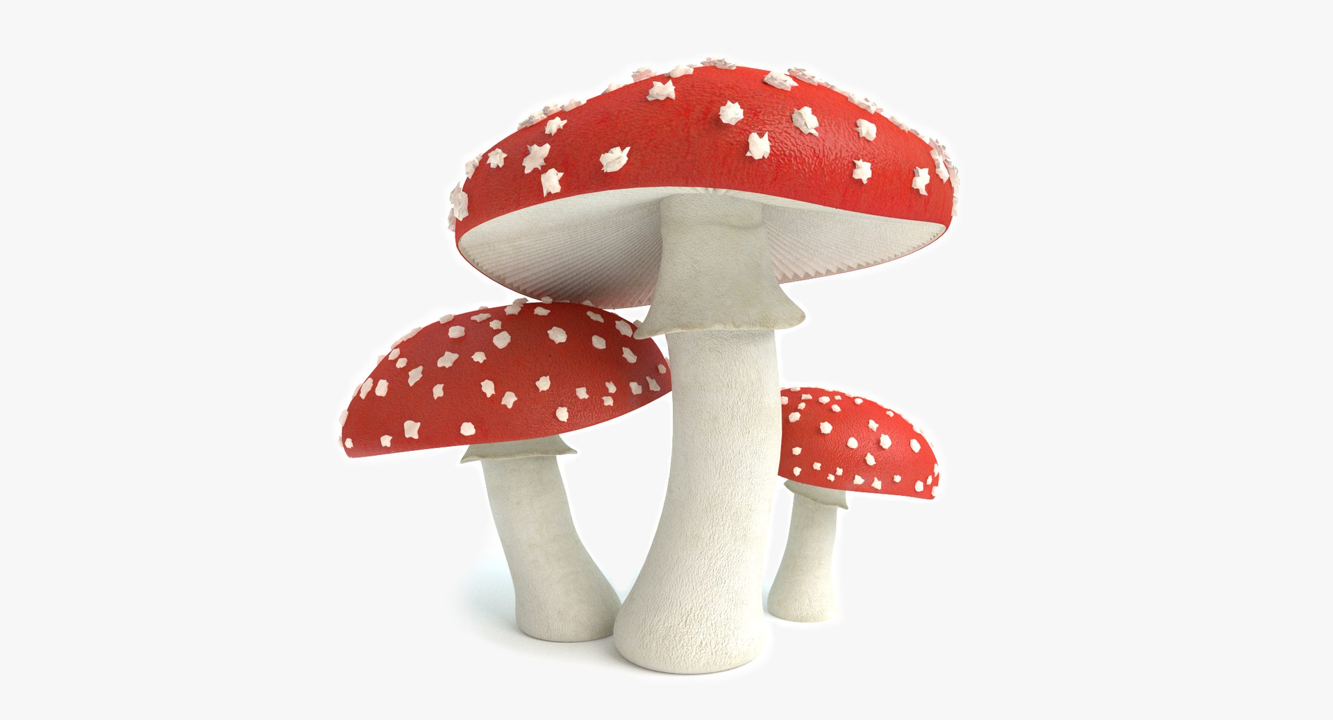 set mushrooms 3d model https://p.turbosquid.com/ts-thumb/U7/WeWFbR/BzuDCo1E/thumbnail_1/png/1432666147/1920x1080/fit_q87/da8cf901632fd9acd78c20e93f672f670e5aa332/thumbnail_1.jpg