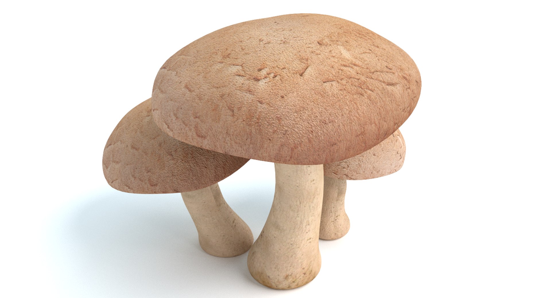 set mushrooms 3d model https://p.turbosquid.com/ts-thumb/U7/WeWFbR/CGi4sO9K/thumbnail_3/png/1432666124/1920x1080/fit_q87/e3d6e4e770d2264a9dfc9d701f316bcd91df0740/thumbnail_3.jpg