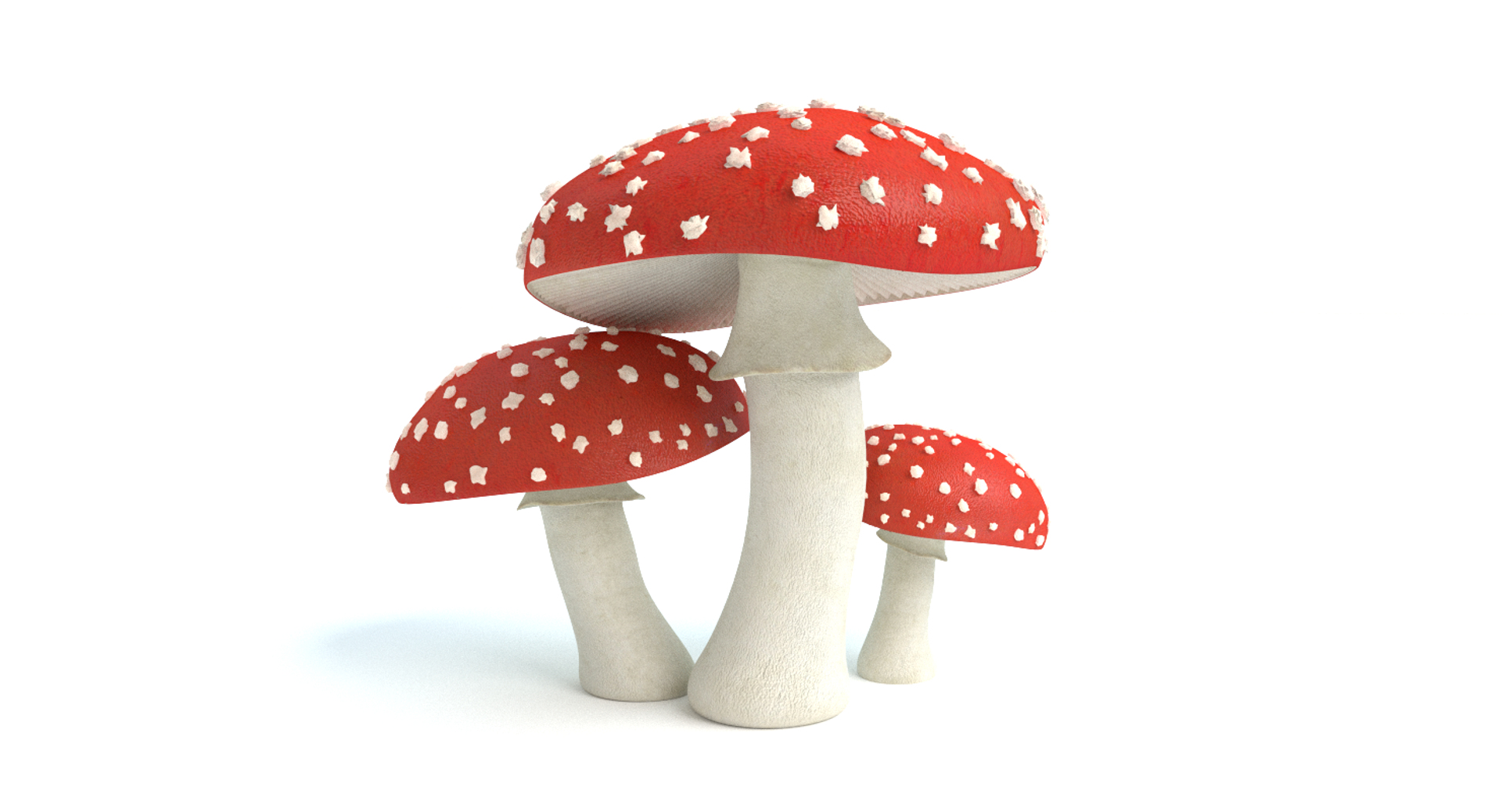 set mushrooms 3d model https://p.turbosquid.com/ts-thumb/U7/WeWFbR/FHJkLkxf/images/png/1432666314/1920x1080/turn_fit_q99/e95e80dc5474e80e249d22e0438856b29b0db02e/images-1.jpg