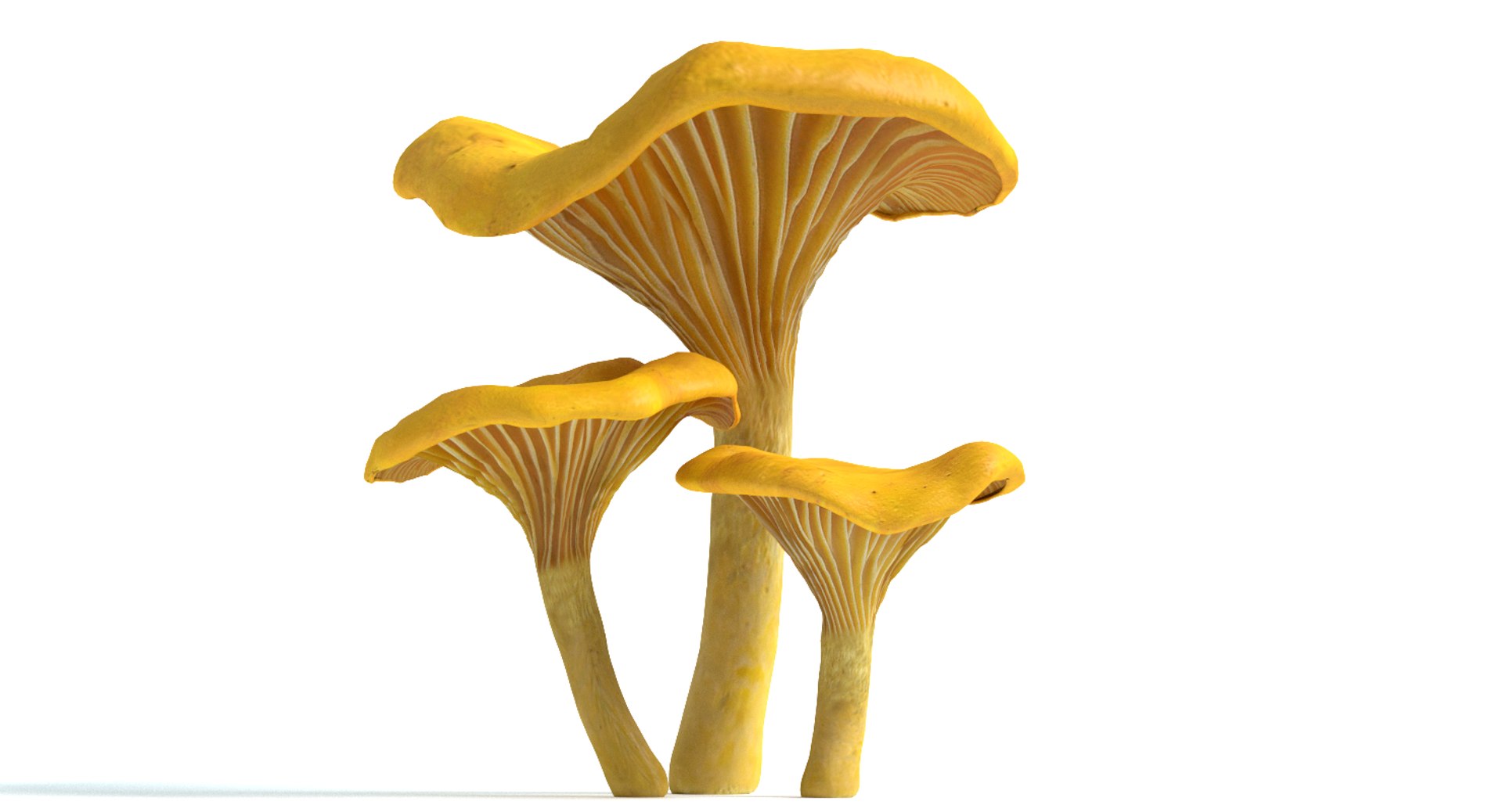 set mushrooms 3d model https://p.turbosquid.com/ts-thumb/U7/WeWFbR/GCDtqX4v/thumbnail_2/png/1432666185/1920x1080/fit_q87/968dc38e49a002d0e131d9277eca0cf8aab0e97f/thumbnail_2.jpg