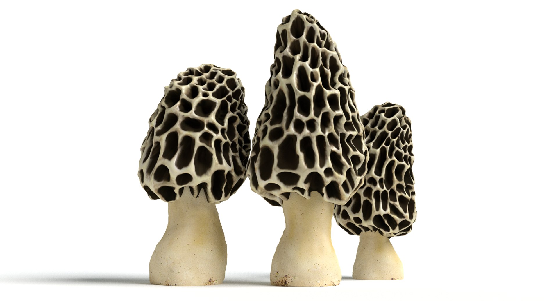 set mushrooms 3d model https://p.turbosquid.com/ts-thumb/U7/WeWFbR/S9ZPgGYL/thumbnail_3/png/1432666171/1920x1080/fit_q87/9b98ad773422dbb61fc6eb101543a9e82d21e2d3/thumbnail_3.jpg