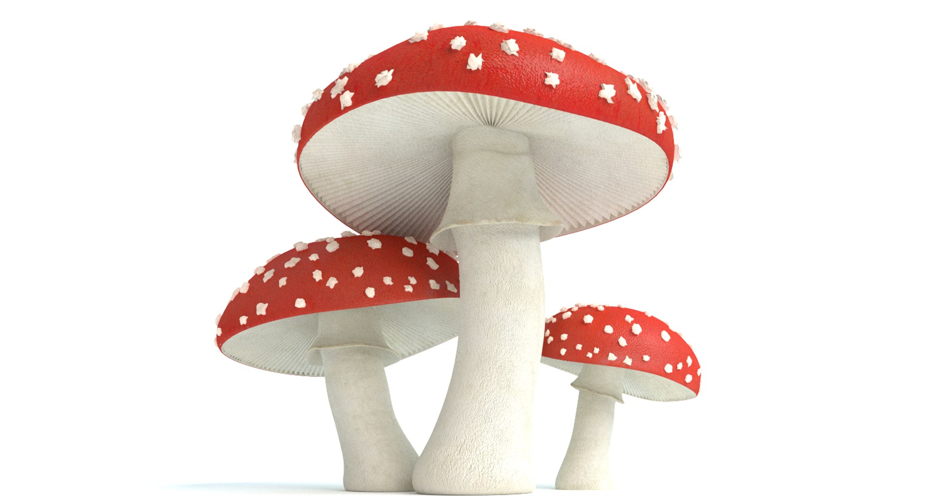 set mushrooms 3d model https://p.turbosquid.com/ts-thumb/U7/WeWFbR/SVJOfhz4/thumbnail_2/png/1432666148/1920x1080/fit_q87/a060d73b9af6b860f6889801811ce4ec0a331c18/thumbnail_2.jpg