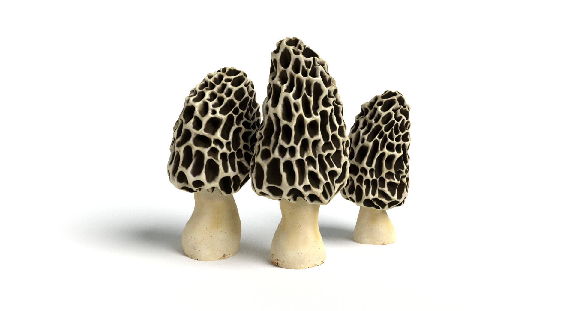 set mushrooms 3d model https://p.turbosquid.com/ts-thumb/U7/WeWFbR/byZz1o64/images/png/1432666384/1920x1080/turn_fit_q99/e77a2837932bf3a50a947f6f8023c62aa75b7f95/images-1.jpg